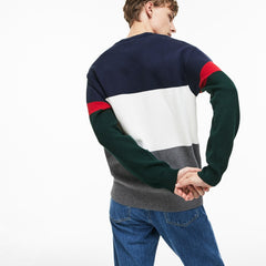 Crew Neck Colorblock Flat Ribbed Cotton Sweater | Lacoste Mens