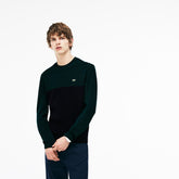 Crew Neck Ribbed Wool Sweater | Lacoste Mens