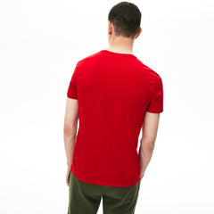 Crew Neck Pima Cotton T-Shirt | Lacoste Mens