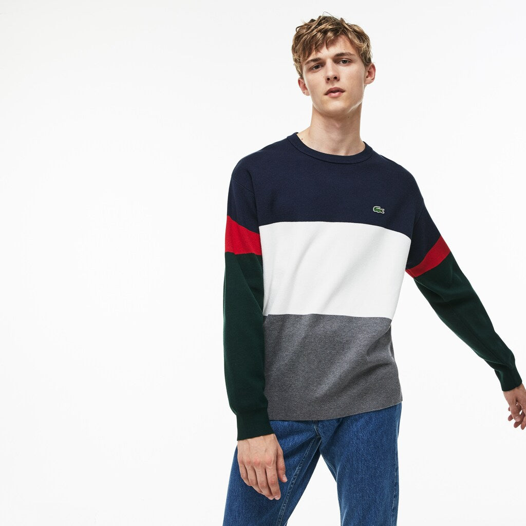 Crew Neck Colorblock Flat Ribbed Cotton Sweater | Lacoste Mens