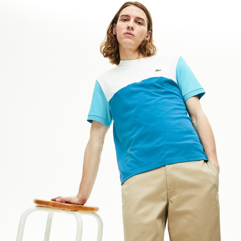 Colorblock Regular Fit Cotton Jersey T-shirt | Lacoste Mens