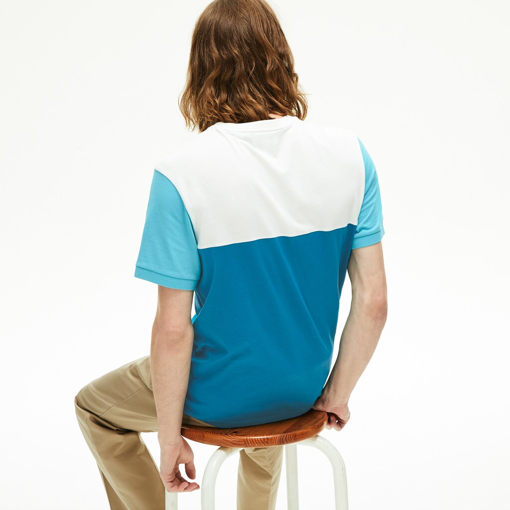 Colorblock Regular Fit Cotton Jersey T-shirt | Lacoste Mens