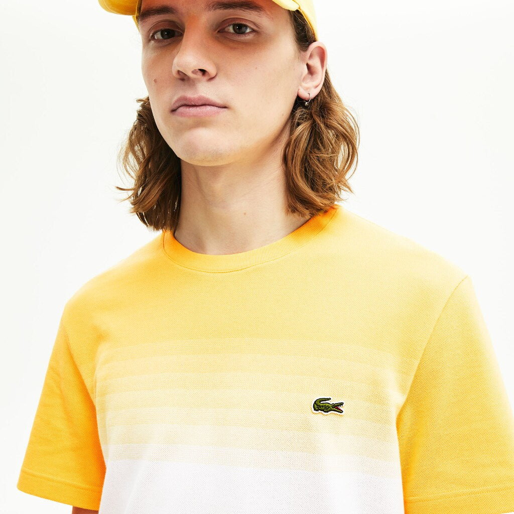 Made in France Cotton Piqué Cotton Crew Neck T-shirt | Lacoste Mens