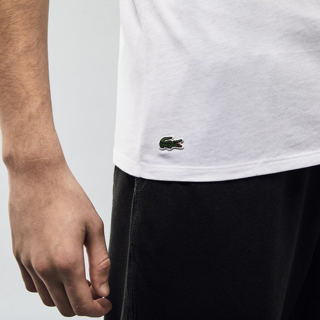 3 Pack of Plain T-Shirts | Lacoste Mens